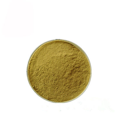 Gymnema Sylvestre Leaf Anthocyanin Extract Powder للأدوية المزود